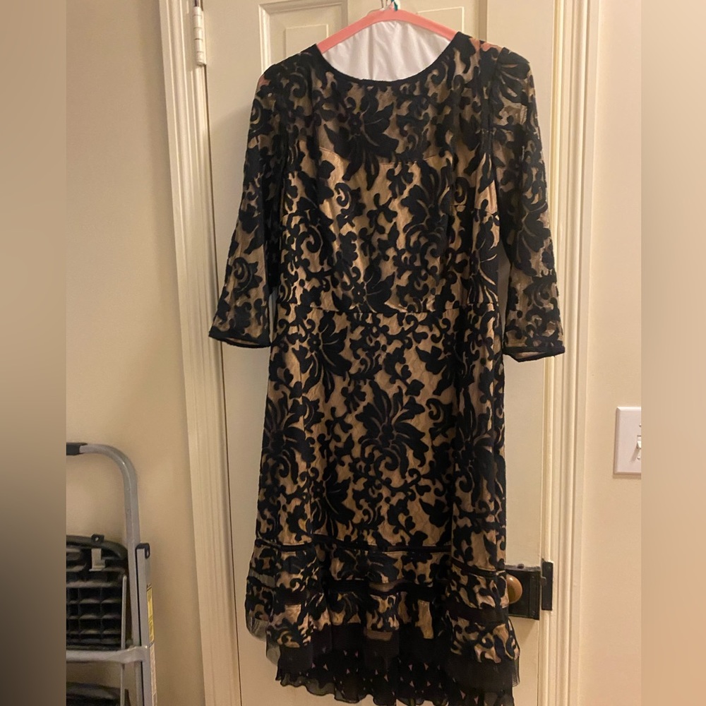 Tadashi Shoji Lace Mesh Dress